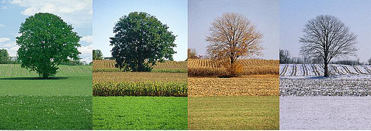 金亨泰：《星刃》开发成本只有普通3A游戏的1＆3